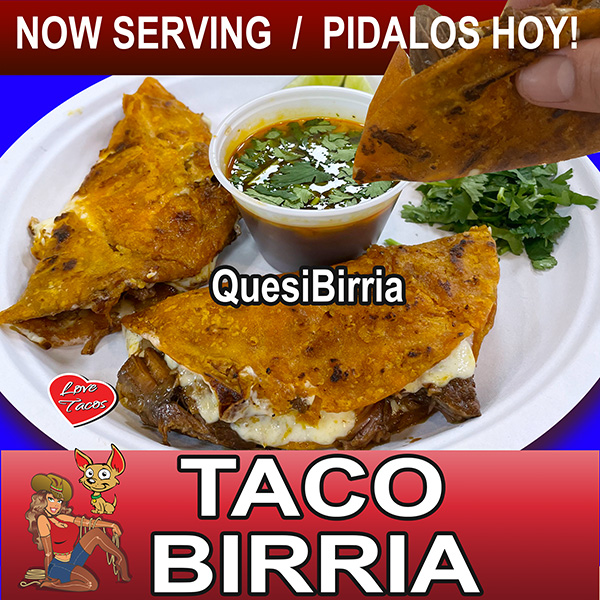 Taco Birria